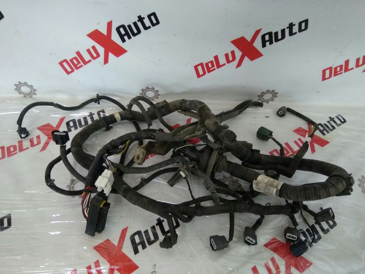 cablaj motor pentru Nissan Almera Tino 2.0 · 2006