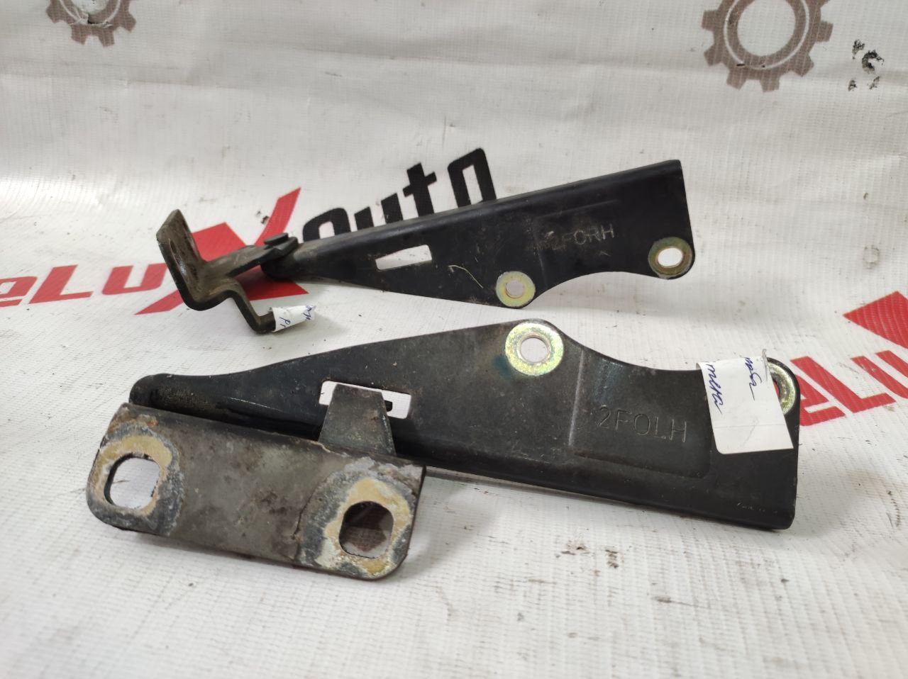 balama capotă pentru Nissan Primera P11 · 2000 break