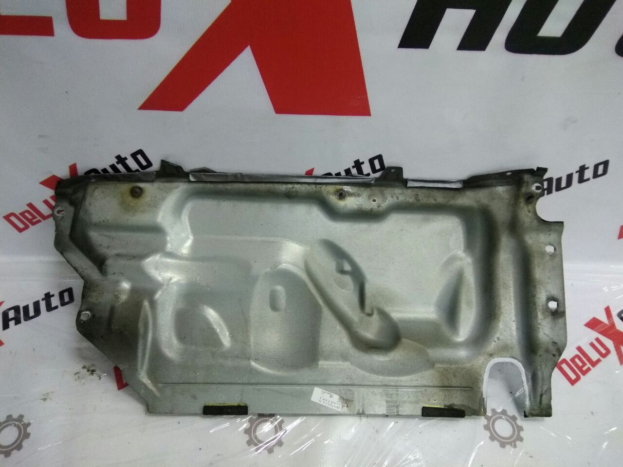 protecție motor spate