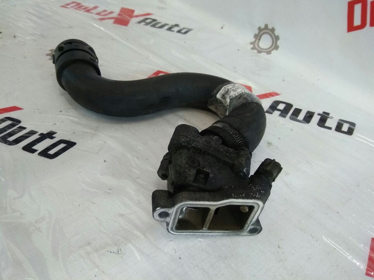 termostat + furtun răcire
